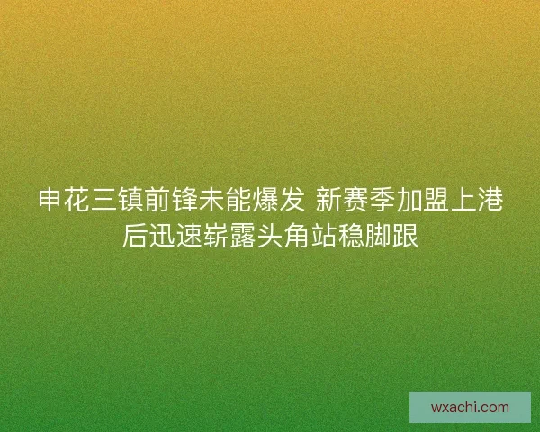 申花三镇前锋未能爆发 新赛季加盟上港后迅速崭露头角站稳脚跟