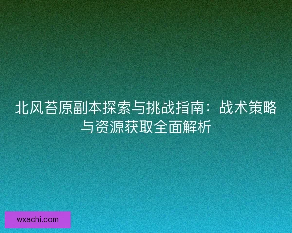 北风苔原副本探索与挑战指南：战术策略与资源获取全面解析