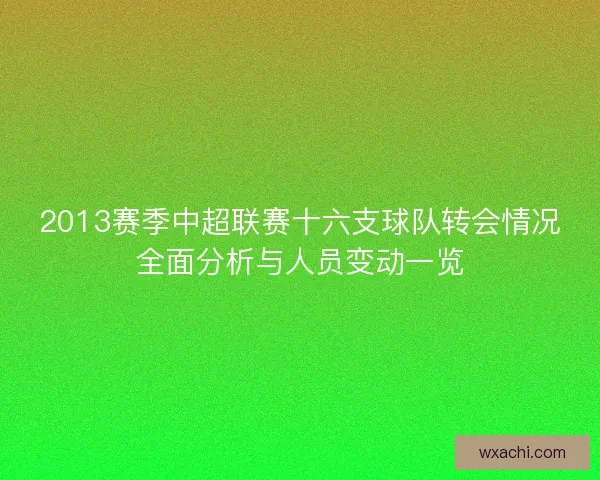 2013赛季中超联赛十六支球队转会情况全面分析与人员变动一览