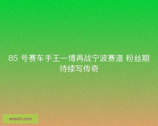 85 号赛车手王一博再战宁波赛道 粉丝期待续写传奇