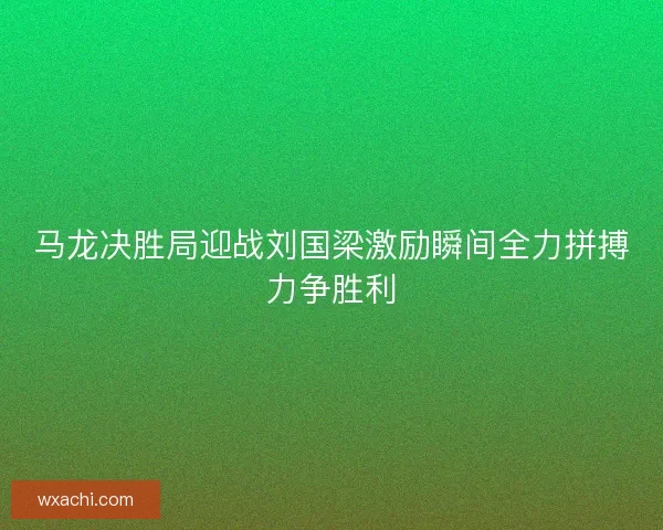 马龙决胜局迎战刘国梁激励瞬间全力拼搏力争胜利
