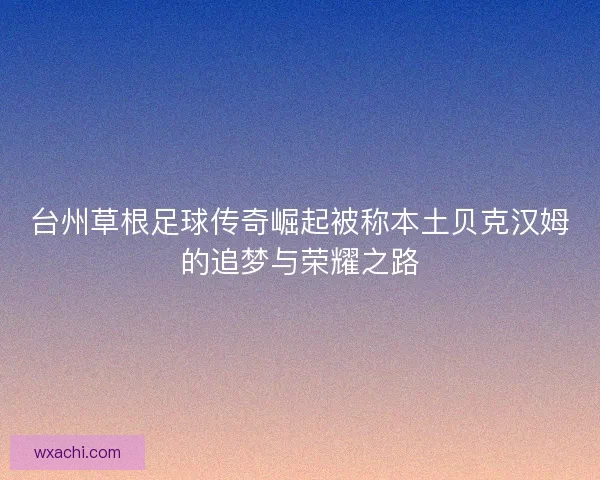 台州草根足球传奇崛起被称本土贝克汉姆的追梦与荣耀之路