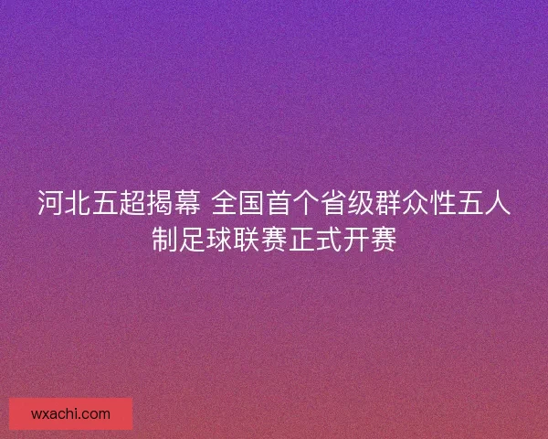 河北五超揭幕 全国首个省级群众性五人制足球联赛正式开赛